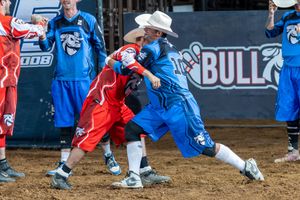 Image post by @ultimatebullfighters on Instagram