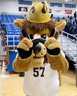 Image post by @queensathletics on Instagram