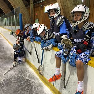 Image post by @2waylacrosse on Instagram