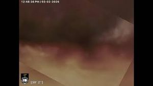 Video post by @localphc on YouTube