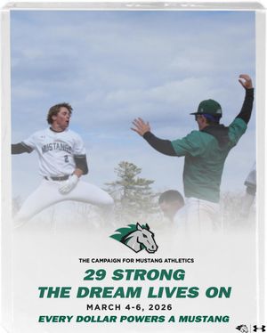 Image post by @stevensonbsb on Instagram