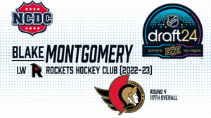 Image post by @usphlhockey on Instagram