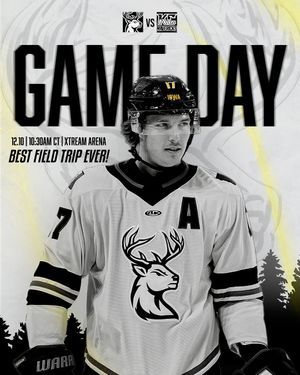 Image post by @goheartlanders on Instagram