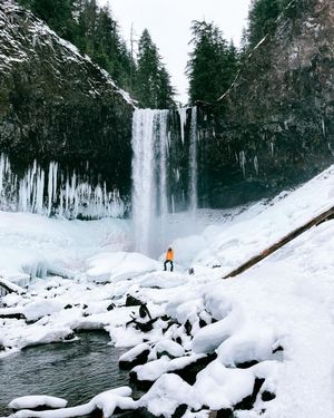 Image post by @sewbon on Instagram