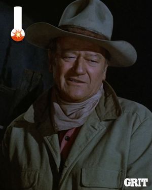 Image post by @grittv on Instagram