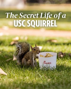 Image post by @uofscstudents on Instagram