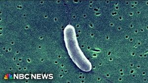 Video post by @nbcnews on YouTube