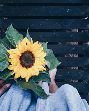 Image post by @kate.simple.life on Instagram