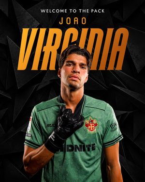 Image post by @wolves on Instagram
