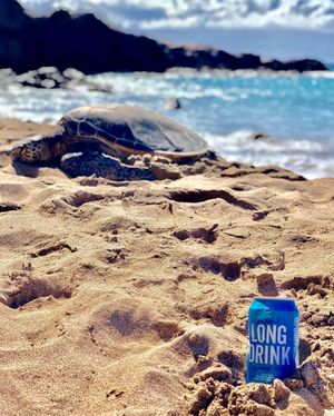 Image post by @longdrink on Instagram