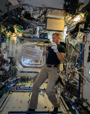 Image post by @iss on Instagram