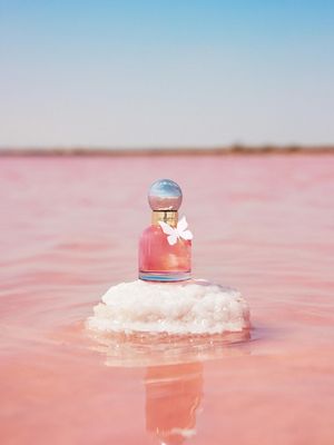 Image post by @cacharelparfums on Instagram