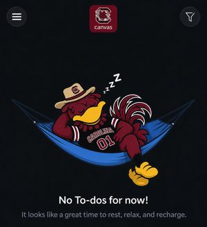 Image post by @redcupgamecocks on Instagram