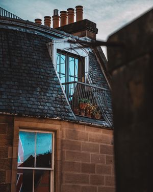 Image post by @danigoinhamm on Instagram