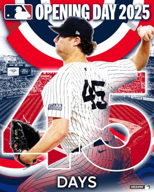 Image post by @mlbjapan on Instagram