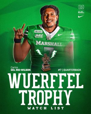 Image post by @herd_fb on Instagram