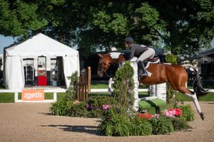 Image post by @kyhorsepark on Instagram