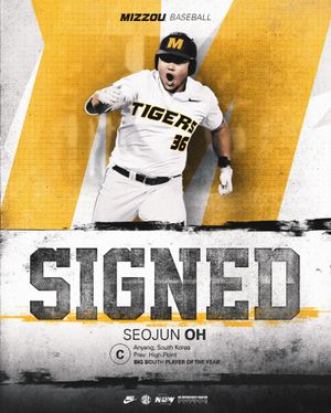 Image post by @missouri_baseball on Instagram