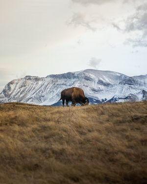 Image post by @connoriphotography on Instagram
