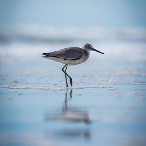 Image post by @ploegerphotography on Instagram