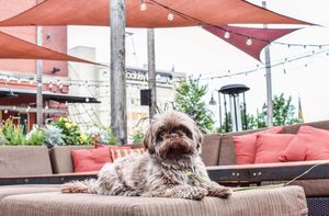 Image post by @theironhorsehotel on Instagram