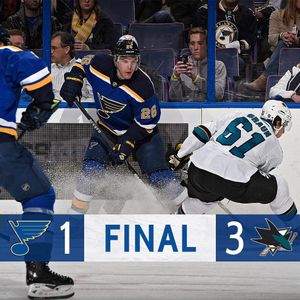Image post by @stlouisblues on Instagram
