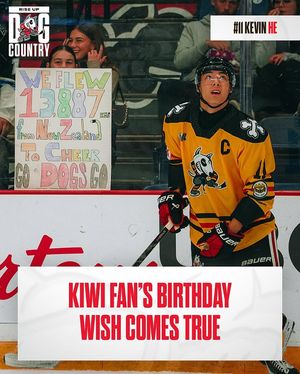 Image post by @ohlicedogs on Instagram