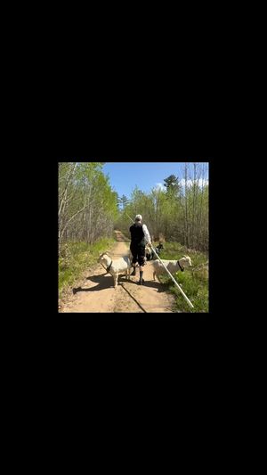 Video post by @Ruttgers on Facebook