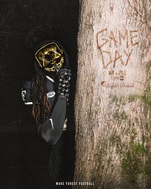 Image post by @WakeFB on Twitter