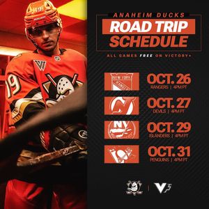 Image post by @ducksonvictory on Instagram