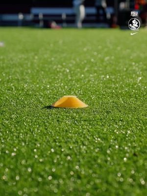 Image post by @fsu_wlax on Instagram