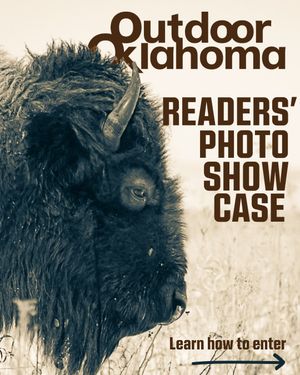 Image post by @okwildlifedept on Instagram