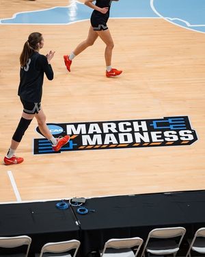Image post by @beaverwbb on Instagram