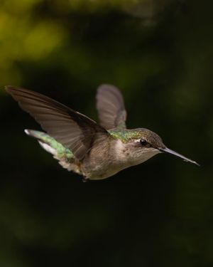 Image post by @huntsphotovideo on Instagram