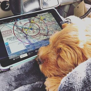 Image post by @foreflight on Instagram