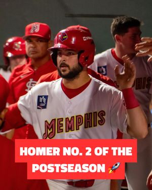 Image post by @memphisredbirds on Instagram
