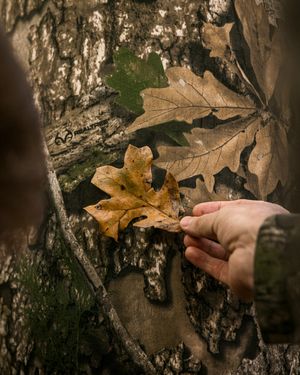 Image post by @realtreeoutdoors on Instagram