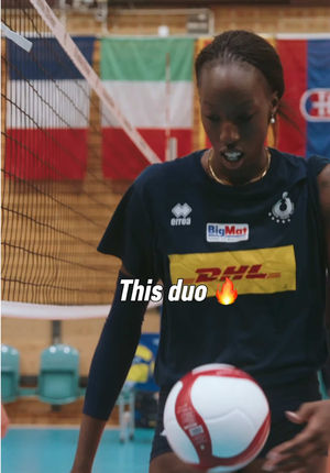 Video post by @fipavofficial on TikTok