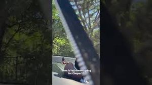 Video post by @pbr on YouTube