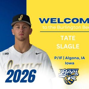 Image post by @burlington_bees on Instagram