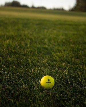 Image post by @wilsongolfcanada on Instagram