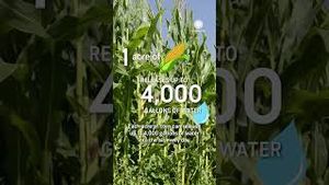 Video post by @accuweather on YouTube