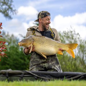 Image post by @brothercarp on Instagram