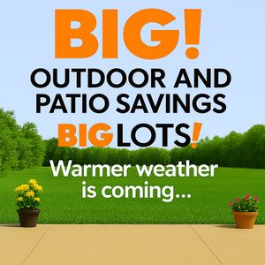 Image post by @biglots on Instagram
