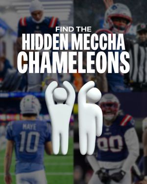 Image post by @patriots on Instagram