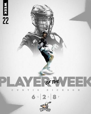 Image post by @nll on Instagram