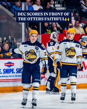 Image post by @erieotters on Instagram