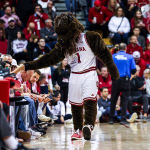 Image post by @hoosierthebison on Instagram