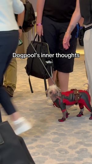 Video post by @imax on TikTok