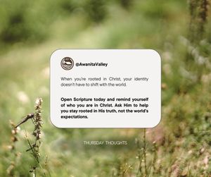 Image post by @awanitavalley on Instagram
